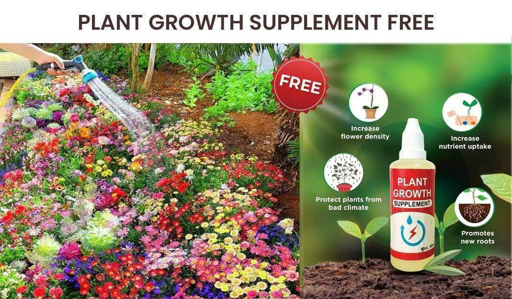Flower Seeds (Pack of 100) + FREE Growth Supplement