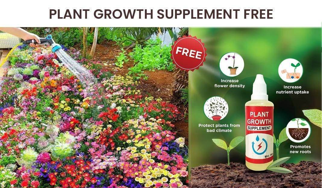 Flower Seeds (Pack of 100) + FREE Growth Supplement