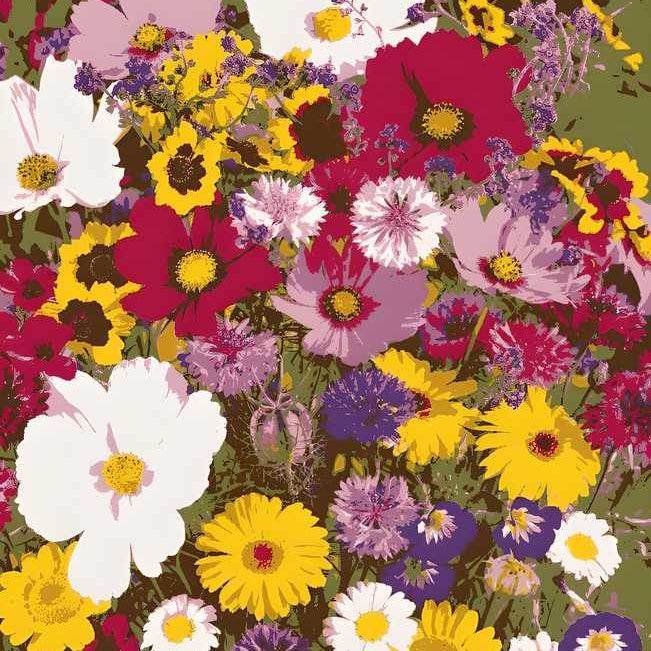 Flower Seeds (Pack of 100) + FREE Growth Supplement